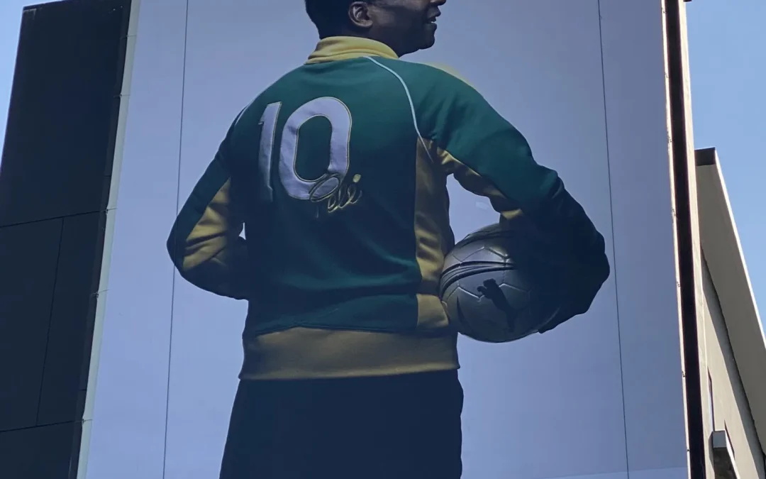 ป้ายไวนิล (Vinyl)